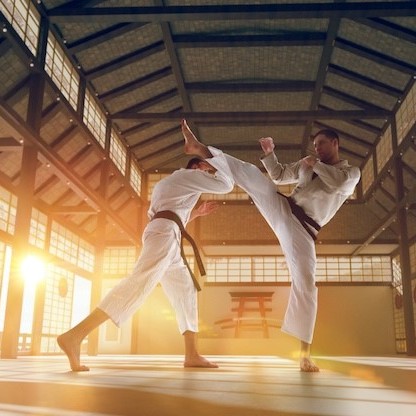 e38a48ff2d47678bc759fbf020246b3551e287f1