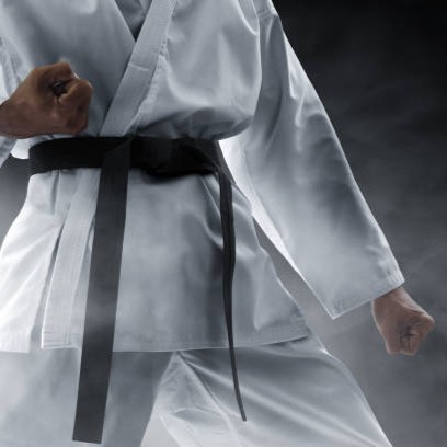 Martial arts fighter